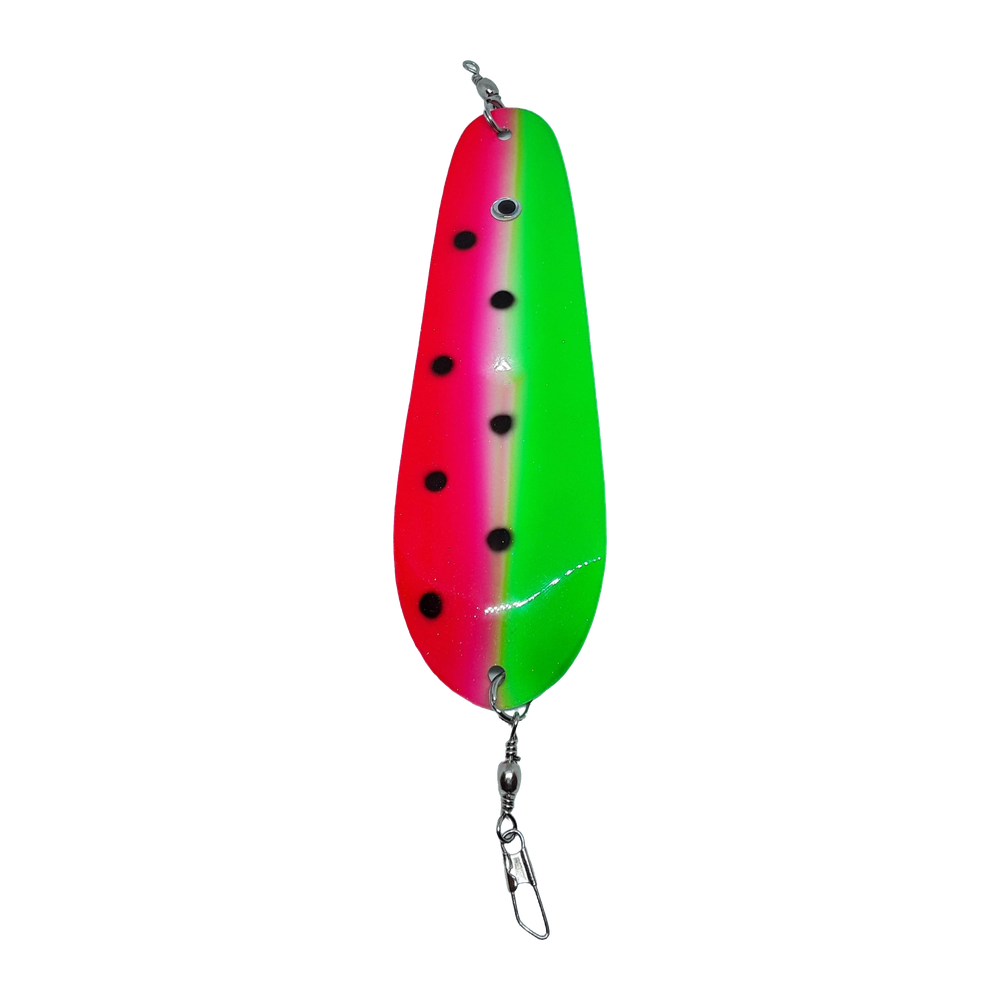 Kokabow Dodger 5.5" - Watermelon